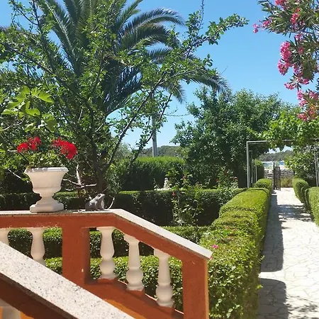 Mira Rab Town