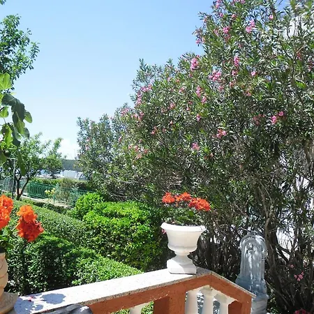 Guest house Mira