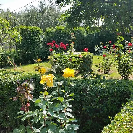 Gasthuis Mira Rab Town