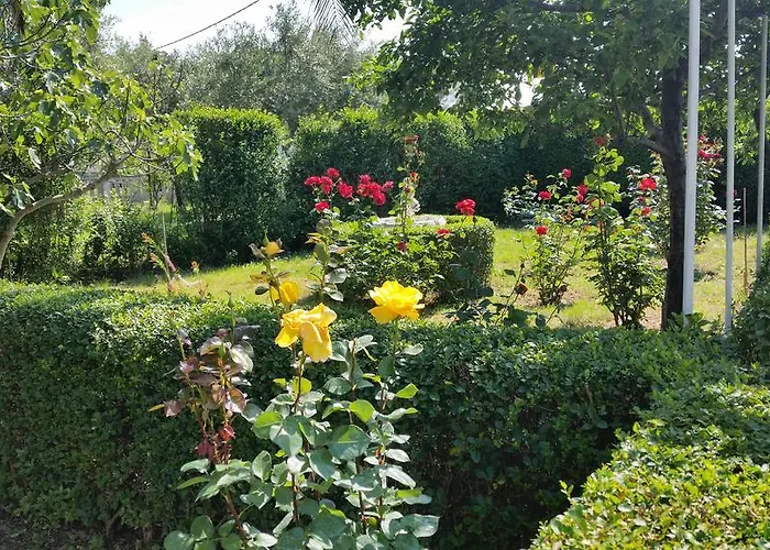 Guest house Mira Rab Town