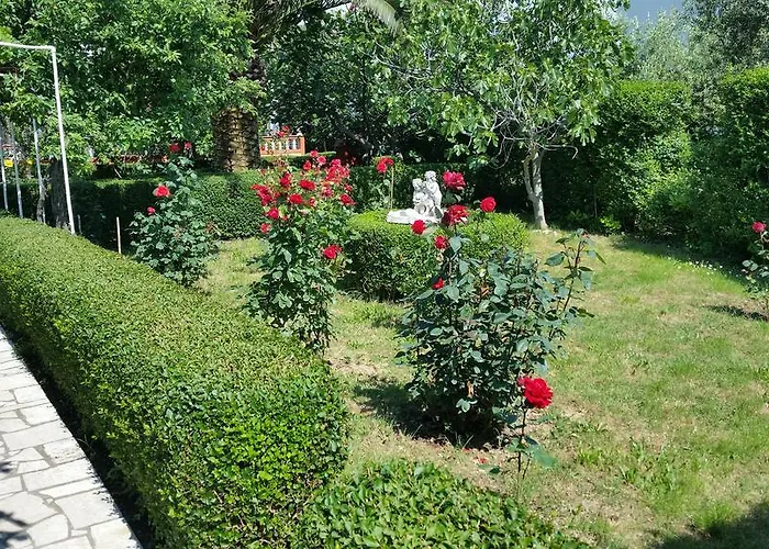 Guest house Mira