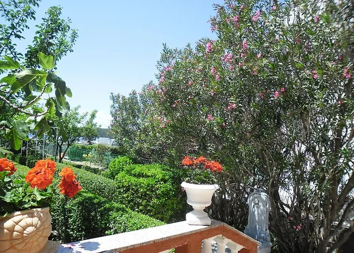 Guest house Mira